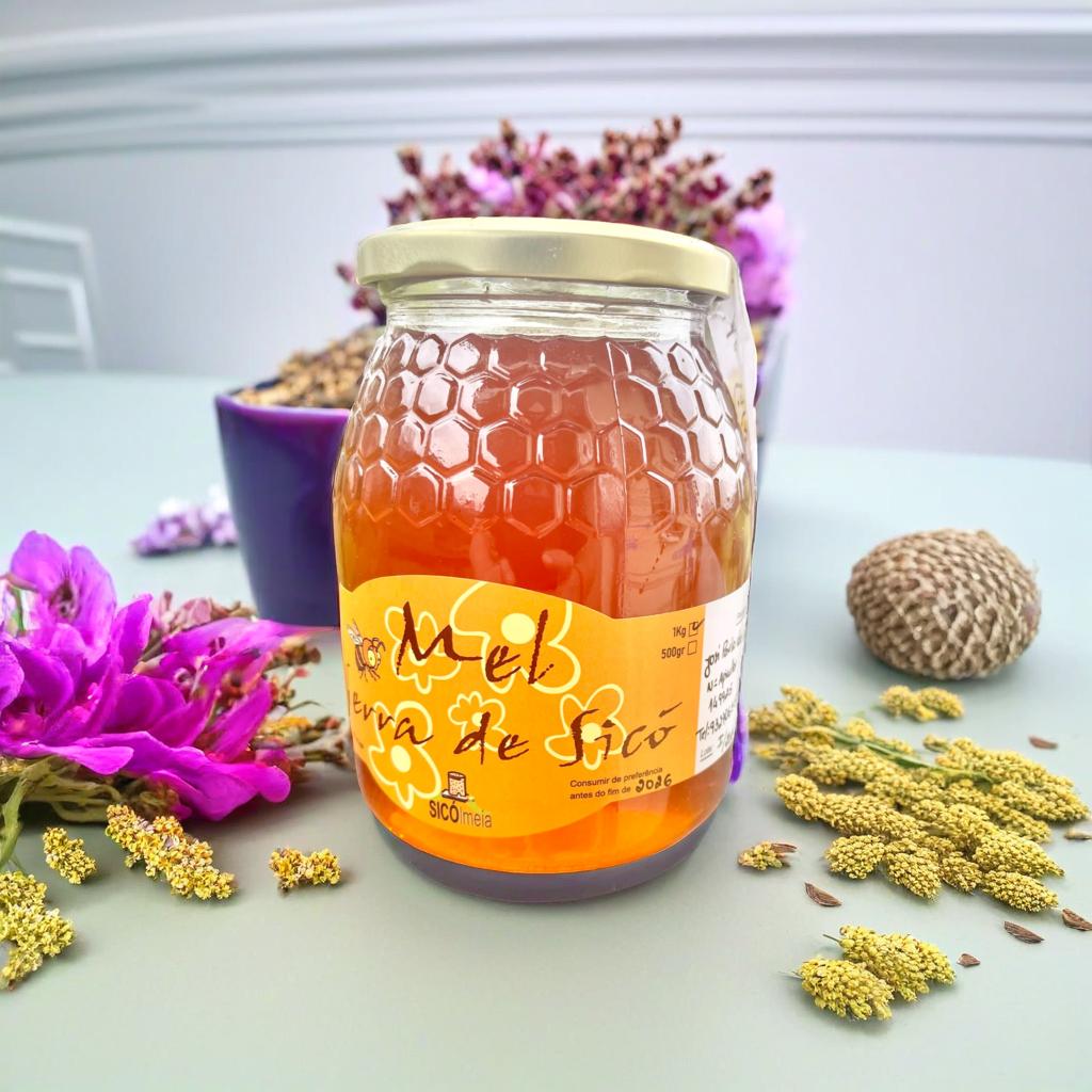 Miel de lavande et romarin sauvage Pingarota 1kg artisanal - Pingarota