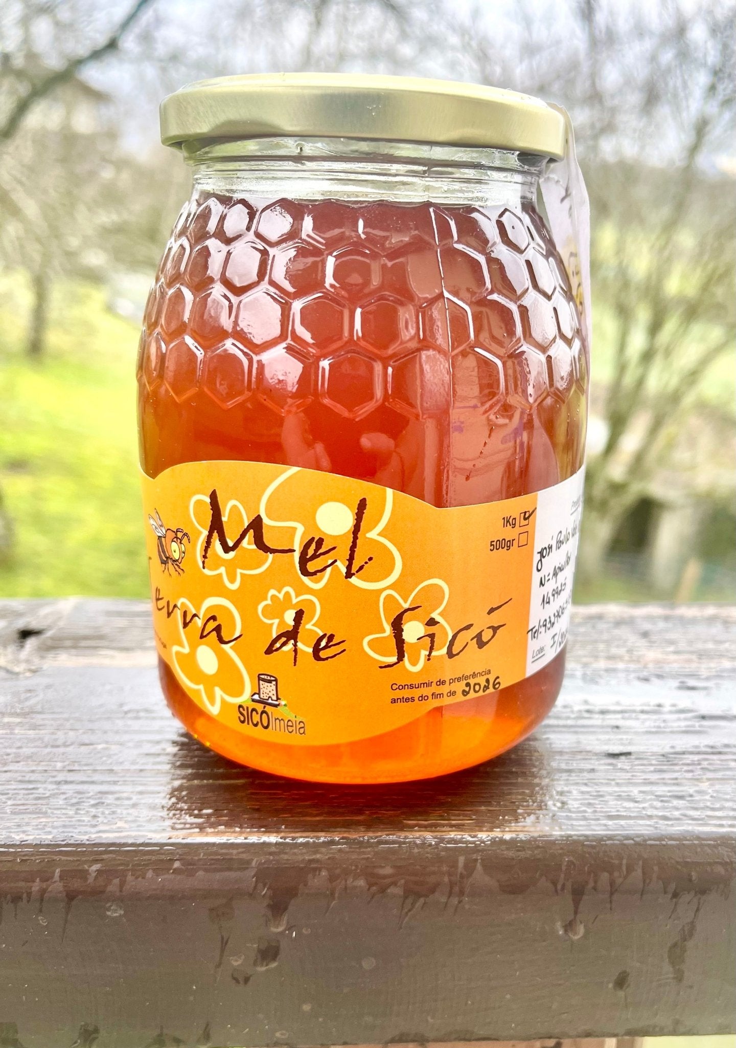 Miel de lavande et romarin sauvage Pingarota 1kg artisanal - Pingarota